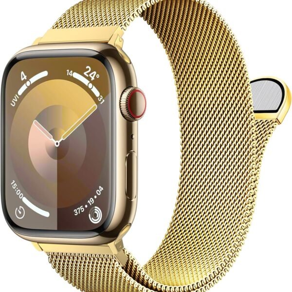 Steel Mesh Loop Magnetic Gold Band